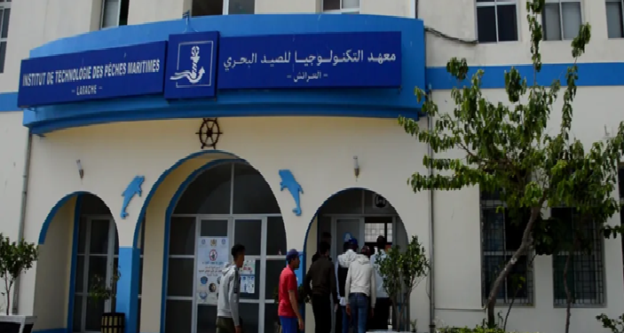 معهد تكنولوجيا الصيد البحري بالعرائش يكشف حصيلة 2025: ريادة في التكوين ودفع قوي للتنمية المستدامة في المجال البحري
