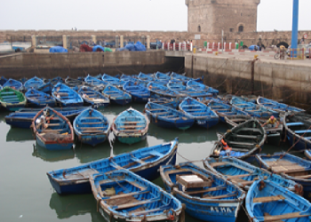 الصويرة .. مفرغات الصيد تتراجع بنسبة 32 في المائة في 2025