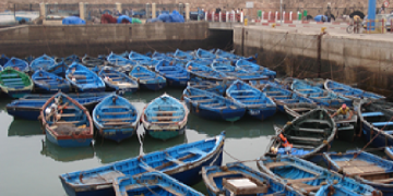 الصويرة .. مفرغات الصيد تتراجع بنسبة 32 في المائة في 2025