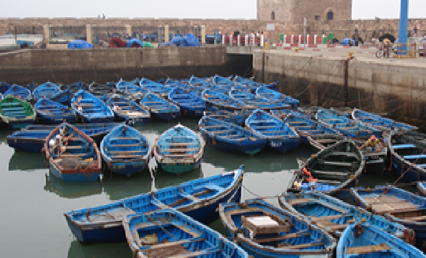 الصويرة .. مفرغات الصيد تتراجع بنسبة 32 في المائة في 2025