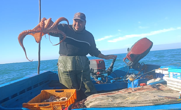 انطلاق موسم صيد الأخطبوط الشتوي لسنة 2026 بتفاؤل وارتياح لدا المهنيين وانخراطهم الفعال لإنجاح الموسم