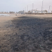 شاطئ “الوطية” بطانطان تحت الحصار: مؤسسة “المغرب الأزرق” تدق ناقوس الخطر وتدعو لتدخل استعجالي