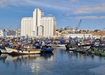 ميناء اسفي.. تراجع في مفرغات الصيد الساحلي والتقليدي خلال الشهرين الأولين من 2026