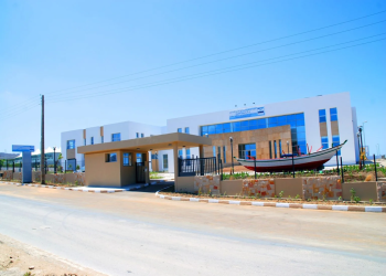 المركز الجهوي للمعهد الوطني للبحث في الصيد بطنجة يطلق عملية تقييم مخزون الصدفيات