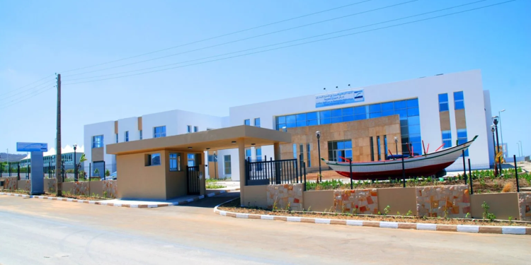 المركز الجهوي للمعهد الوطني للبحث في الصيد بطنجة يطلق عملية تقييم مخزون الصدفيات