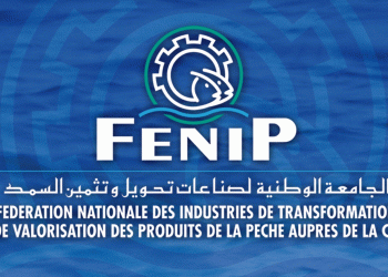 الفيدرالية الوطنية لصناعات السمك تعزز شراكتها مع ليبيريا لدعم الاقتصاد الأزرق