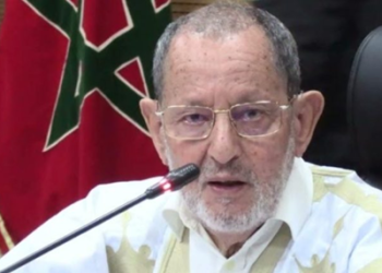 الغرفة الأطلسية الجنوبية تراسل كاتبة الدولة حول استغلال قوارب الصيد في الهجرة السرية