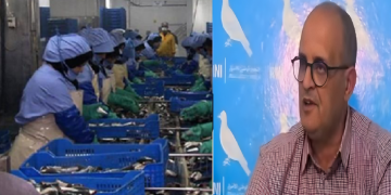 سردين آسفي.. من خيرات الأطلسي إلى موائد العالم