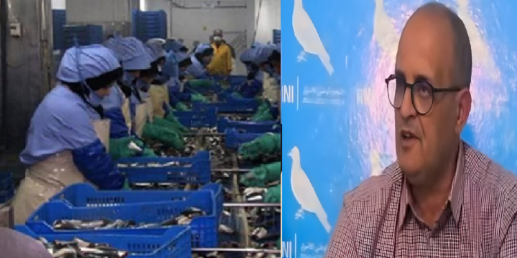 سردين آسفي.. من خيرات الأطلسي إلى موائد العالم