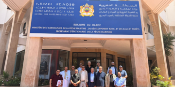 تجار السمك بالجملة يطالبون بمراجعة قانون الأسواق ومعالجة اختلالات التنظيم والتسويق