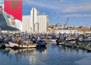 مطالب بجعل أجهزة VMS مجانية لفائدة بحارة الصيد التقليدي
