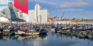 مطالب بجعل أجهزة VMS مجانية لفائدة بحارة الصيد التقليدي