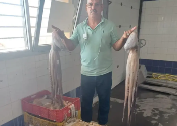بين وفرة المصطادات وانهيار الأسعار.. انطلاقة موسم الأخطبوط بسلا تثير غضب بحارة الصيد التقليدي