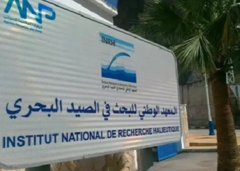 المعهد الوطني للبحث في الصيد البحري يعقد الدورة الـ34 لمجلس إدارته لتعزيز الحكامة ورسم أولويات المرحلة المقبلة