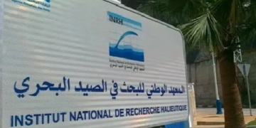 المعهد الوطني للبحث في الصيد البحري يعقد الدورة الـ34 لمجلس إدارته لتعزيز الحكامة ورسم أولويات المرحلة المقبلة