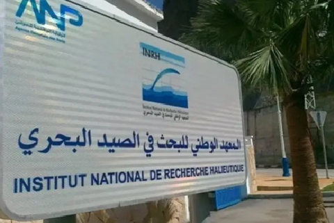 المعهد الوطني للبحث في الصيد البحري يعقد الدورة الـ34 لمجلس إدارته لتعزيز الحكامة ورسم أولويات المرحلة المقبلة
