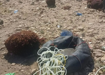 حملة ميدانية واسعة بسيدي بوزيد تطيح بمعدات الغوص غير القانوني وتحجز كميات من الطحالب الحمراء