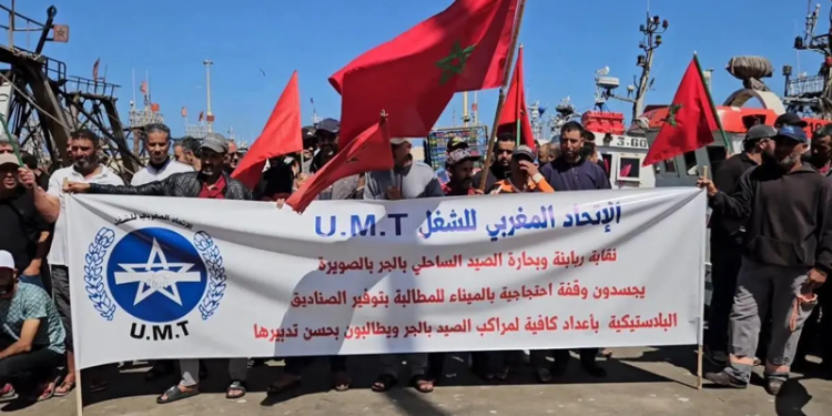 شلل يهدد نشاط الصيد الساحلي بميناء الصويرة بسبب أزمة الصناديق البلاستيكية