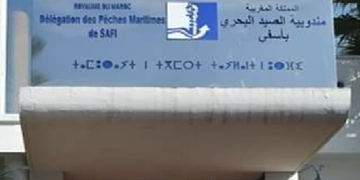  آسفي تتحرك لمعالجة الخصاص في البحارة المؤهلين.. إحصاء شامل لاحتياجات أسطول الصيد تمهيدًا لإطلاق دورات تكوين
