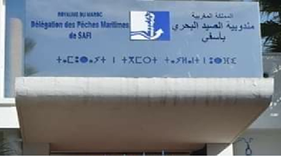 آسفي تتحرك لمعالجة الخصاص في البحارة المؤهلين.. إحصاء شامل لاحتياجات أسطول الصيد تمهيدًا لإطلاق دورات تكوين