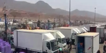 عودة قوية لأسطول السردين تنعش ميناء سيدي إفني.. مفرغات قياسية تعيد الزخم إلى الاقتصاد البحري