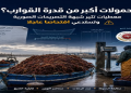 حمولات الطحالب البحرية تحت المجهر.. مصدر حقوقي يطالب بافتحاص التصريحات وحماية حقوق الغطاسين
