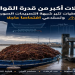 حمولات الطحالب البحرية تحت المجهر.. مصدر حقوقي يطالب بافتحاص التصريحات وحماية حقوق الغطاسين
