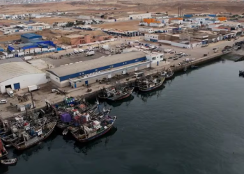 ميناء طانطان يسجل انتعاشًا في مفرغات الصيد خلال النصف الأول من 2026