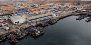 ميناء طانطان يسجل انتعاشًا في مفرغات الصيد خلال النصف الأول من 2026