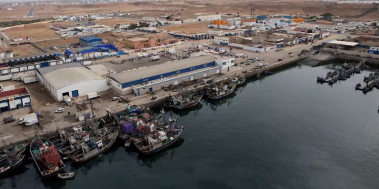 ميناء طانطان يسجل انتعاشًا في مفرغات الصيد خلال النصف الأول من 2026