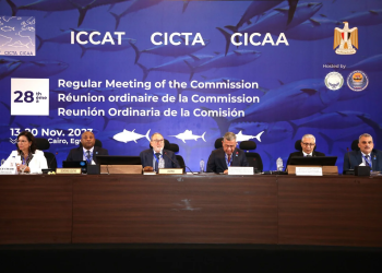 تحت الرئاسة المغربية.. «ICCAT» تستنفر أجهزتها لدورة حاسمة حول مستقبل مصايد التونيات بالأطلسي
