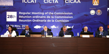 تحت الرئاسة المغربية.. «ICCAT» تستنفر أجهزتها لدورة حاسمة حول مستقبل مصايد التونيات بالأطلسي