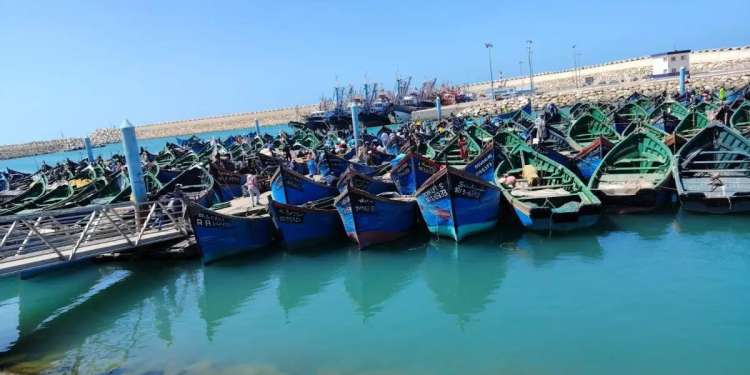 بوجدور.. قبطانية الميناء تفرض ضوابط صارمة لإصلاح قوارب الصيد التقليدي وتحذر من العقوبات